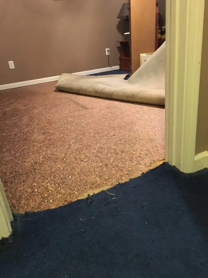 Carpet pad removal revealing water damage during Water Mitigation Services in Hazlet