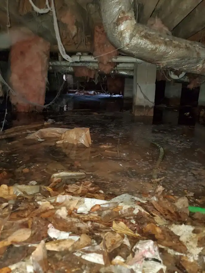 Crawl space flood assessment for Leak Detection & Repair in Hazlet